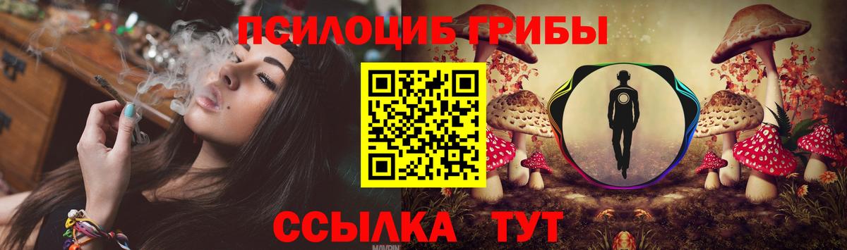 Галлюциногенные грибы GOLDEN TEACHER Балашов